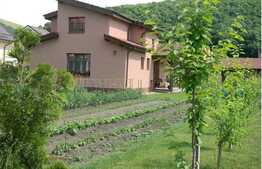 Casa individuala cu 180 mp utili, 800 mp de teren, zona retrasa, linistita!