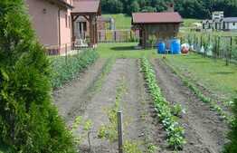 Casa individuala cu 180 mp utili, 800 mp de teren, zona retrasa, linistita!