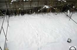 Triplex cu 130 mp utili, semifinisat in zona Floresti.