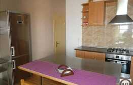 Casa 300 mp utili cu  destinatie rezidentiala si birouri, zona Grand Hotel Italia