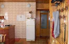 Casa individuala de vanzare, 150 mp utili, cu gradina de 500 mp,zona Garii!