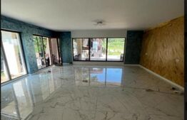 Casa de vanzare, pe un singur nivel, 170 mp + 2.300 mp teren