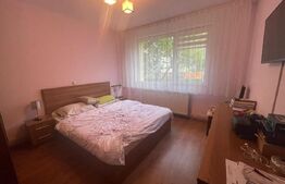Apartament 2 camere renovat, 50 mp utili, mobilat, ideal investiție, Grigorescu