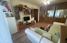 Apartament 2 camere renovat, 50 mp utili, mobilat, ideal investiție, Grigorescu