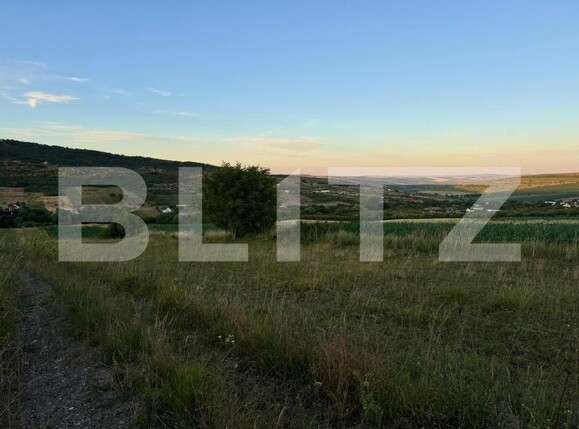 Teren de vânzare Iris - 184353TV | BLITZ Cluj-Napoca | Poza2