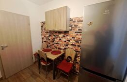 Apartament modern 2 camere, parter, parcare privată – Râșnov