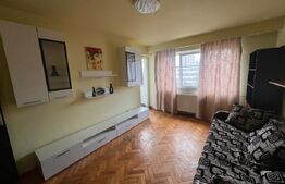 Apartament 2 camere, parcare, pet friendly,zona BIG