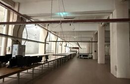 Spațiu industrial de închiriat Iris - 184475SII | BLITZ Cluj-Napoca | Poza1