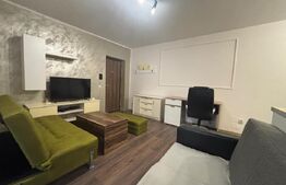 Apartament cu 2 camere, 37.50 mp, gradina, zona Zorilor