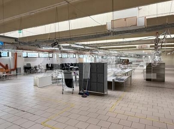 Spațiu industrial de închiriat Iris - 184475SII | BLITZ Cluj-Napoca | Poza8