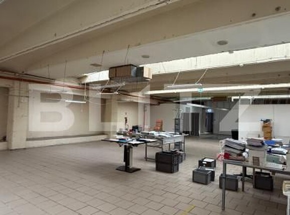 Spațiu industrial de închiriat Iris - 184475SII | BLITZ Cluj-Napoca | Poza7