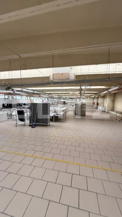 Spațiu industrial de închiriat Iris - 184475SII | BLITZ Cluj-Napoca | Poza8