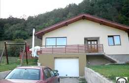 Oferta casa noua de vanzare cu 700 mp teren