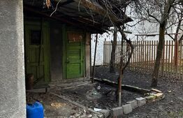 Apartament 1 cameră | Demisol înalt | Curte | Zonă centrală