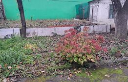 Casă cu Potențial în Brașov – Ideală pentru Locuință sau Afacere