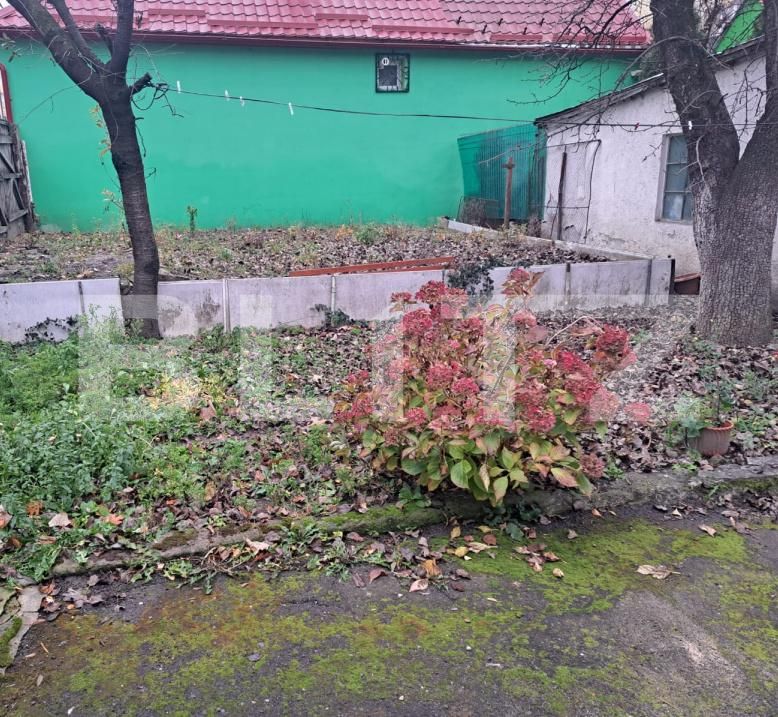 Casa de vânzare 2 camere Astra - 184534CV | BLITZ Brașov | Poza5