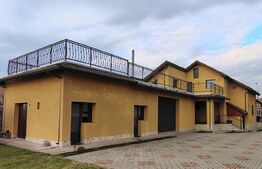 Casa impresionantă 7 camere, piscină, 350 mp utili, 1900 mp teren, Mihai Viteazu