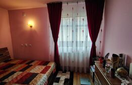 Casa individuală 7 camere, 350 mp utili, 1900 mp teren, Mihai Viteazu