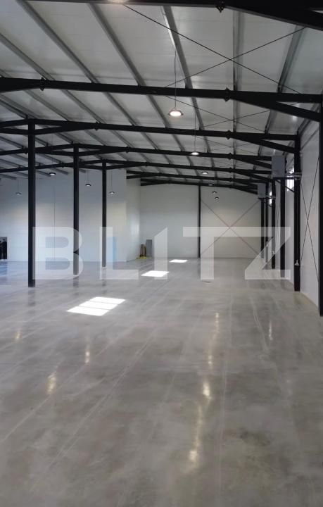 Spațiu industrial de vânzare Exterior Est - 184552SVI | BLITZ Cluj-Napoca | Poza5