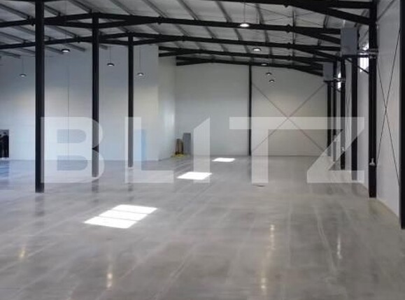 Spațiu industrial de vânzare Exterior Est - 184554SVI | BLITZ Cluj-Napoca | Poza5