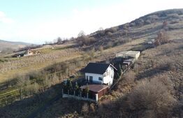 De vanzare Casa cu dependinte in Mera