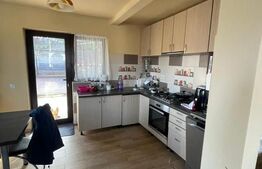 De vanzare Casa cu dependinte in Mera