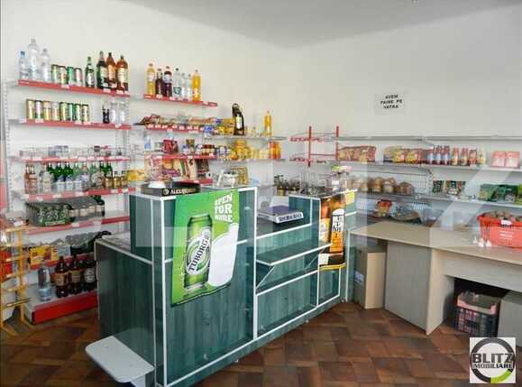 Casa de vânzare 2 camere Dambul Rotund - 18465CV | BLITZ Cluj-Napoca | Poza10