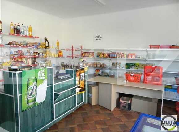 Casa de vânzare 2 camere Dambul Rotund - 18465CV | BLITZ Cluj-Napoca | Poza11