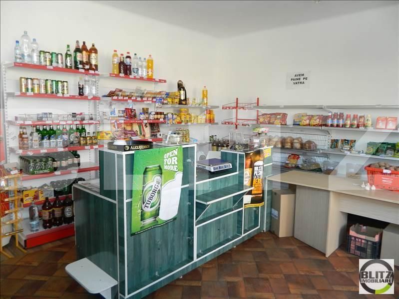 Casa de vânzare 2 camere Dambul Rotund - 18465CV | BLITZ Cluj-Napoca | Poza10