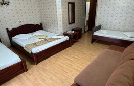 Pensiune de vânzare în Predeal – investiție turistică excelentă