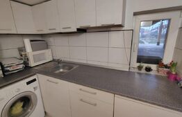 Casa unifamiliala 68 mp utili, 495 mp teren, Someșeni