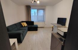 Casa unifamiliala 68 mp utili, 495 mp teren, Someșeni