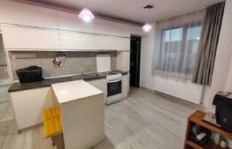Casa unifamiliala 68 mp utili, 495 mp teren, Someșeni