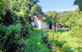 De vanzare apartament la casa in zona Piata Unirii