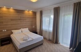 Pensiune Predeal 19 camere, Restaurant, bar, 2 terase