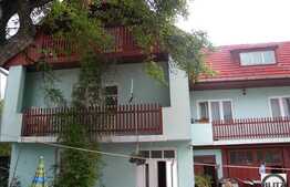 Zona linistita de case, acces usor in centru !