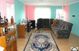 Arhitectura Deosebita,Suprf Generoasa, Artera Principala.Multiple Activititatati