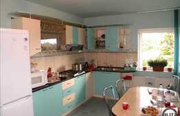 Arhitectura Deosebita,Suprf Generoasa, Artera Principala.Multiple Activititatati