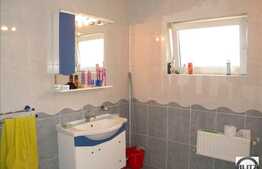 Arhitectura Deosebita,Suprf Generoasa, Artera Principala.Multiple Activititatati