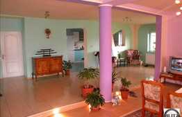 Arhitectura Deosebita,Suprf Generoasa, Artera Principala.Multiple Activititatati