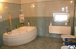 Arhitectura Deosebita,Suprf Generoasa, Artera Principala.Multiple Activititatati