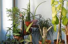 Garsoniera 28 mp,  in zona linistita pe strada Tudor Ciortea