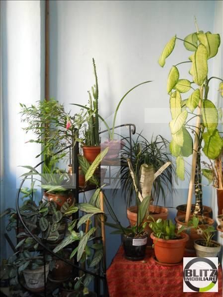 Garsonieră de vânzare Grigorescu - 1848AV | BLITZ Cluj-Napoca | Poza3