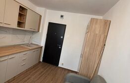 Cameră de cămin premium, renovare completă - zonă Florilor