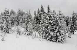 Teren 2600mp - Partia Marisel - intravilan, la 5 minute de partia de ski-CU PUZ