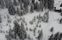 Teren 1500mp - Partia Marisel - intravilan, la 5 minute de partia de ski