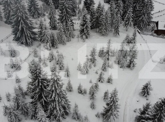 Teren de vânzare Mărişel - 184824TV | BLITZ Cluj-Napoca | Poza6