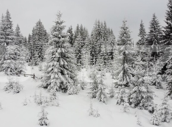 Teren de vânzare Mărişel - 184824TV | BLITZ Cluj-Napoca | Poza4