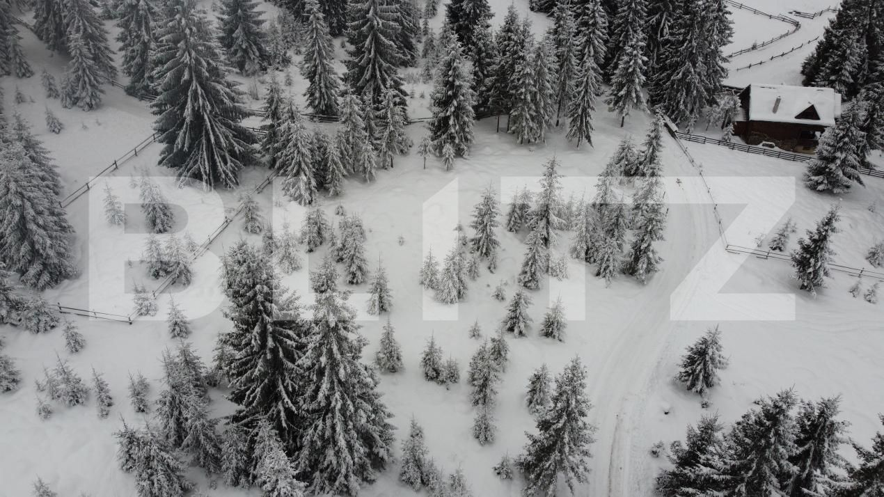 Teren de vânzare Mărişel - 184824TV | BLITZ Cluj-Napoca | Poza6