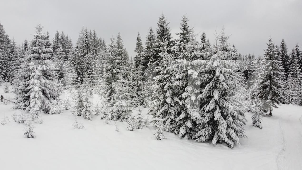 Teren de vânzare Mărişel - 184824TV | BLITZ Cluj-Napoca | Poza3